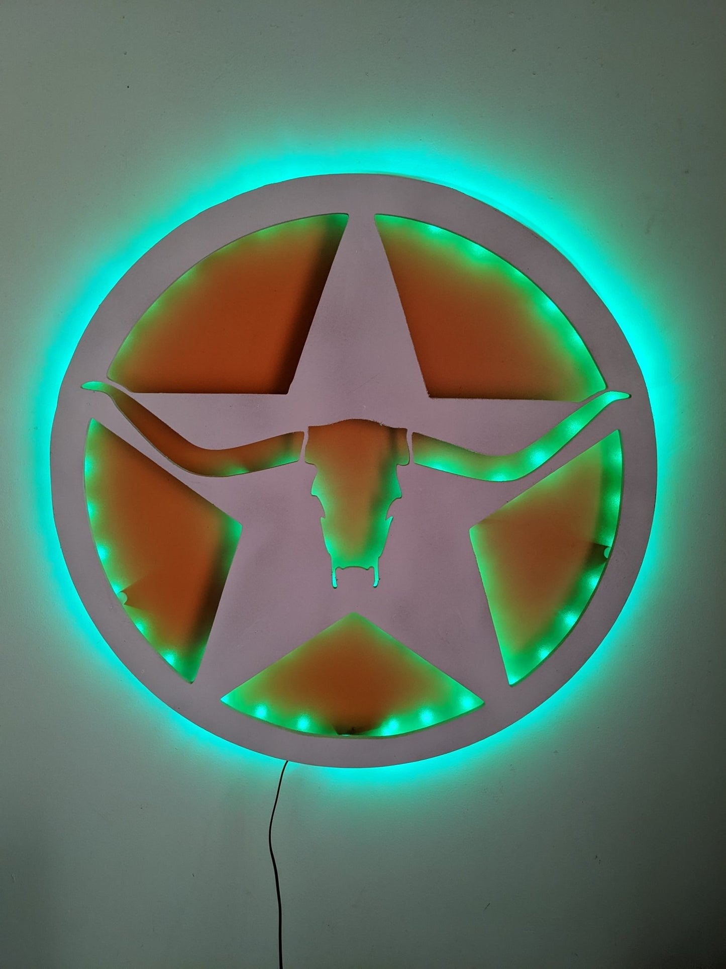 Longhorn LED Wall Art - TitanOakDecor